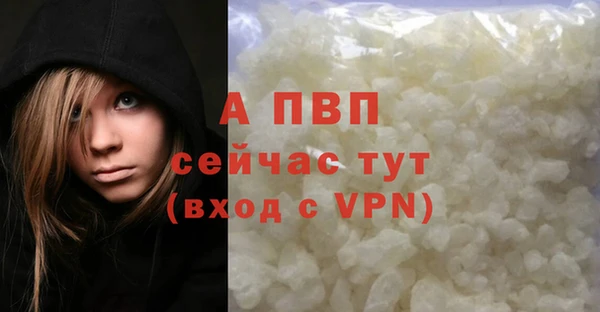 хмурый Арсеньев