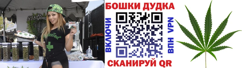 Шишки марихуана Amnesia  Вихоревка 